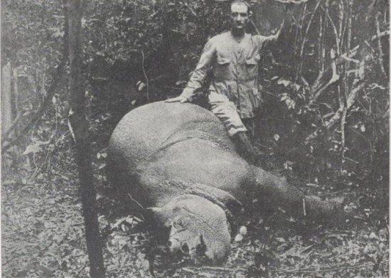 Sondaicus 1932 Indochina