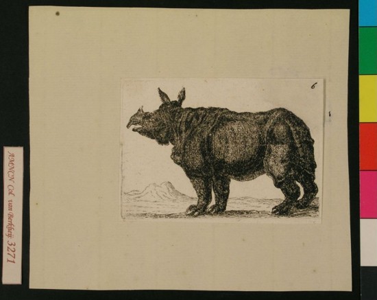 Rhinoceros in collection Van Berkhey