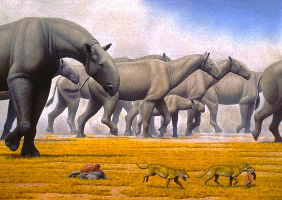 Paraceratherium by Vikram Wagh