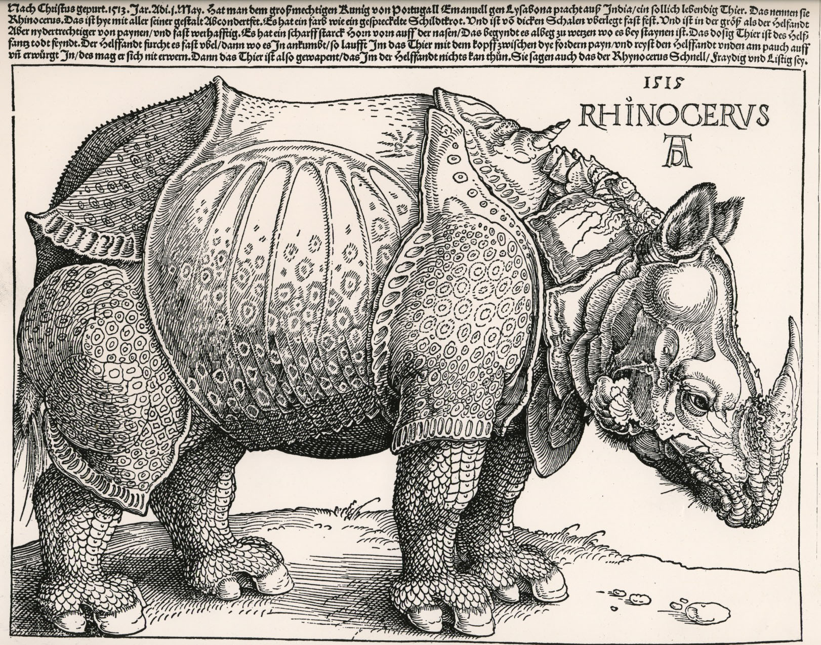 Durers-rhino-1515.jpg