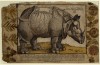 Durer 1515 woodcut version of Li...