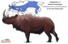 Stephanorhinus kirchbergensis (Jäger) distribution by M. Karala