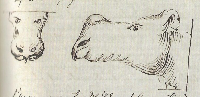 1741 Celsius Clara 003 detail