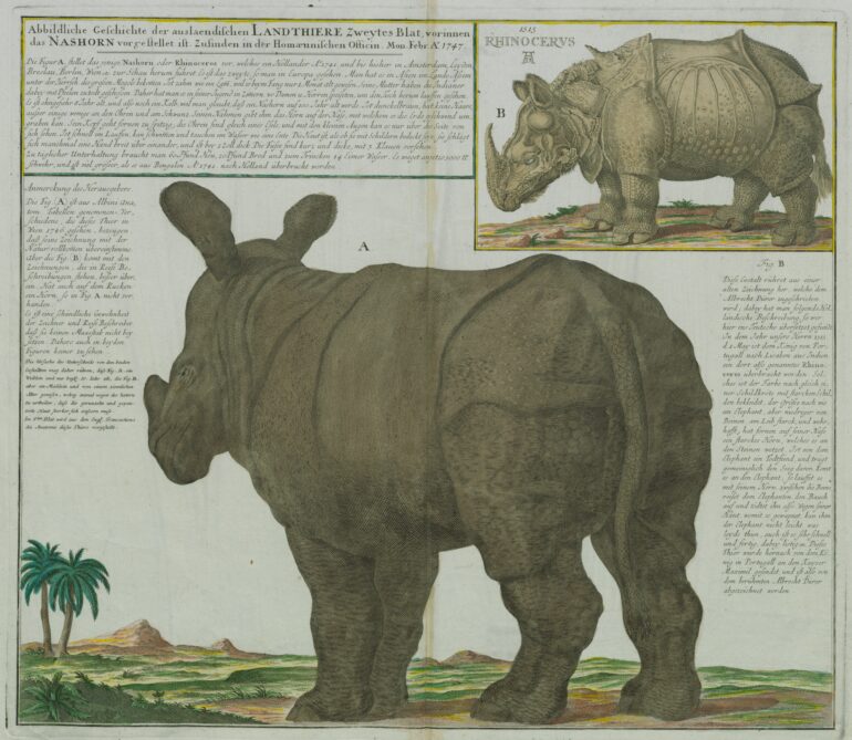 1747 Homann Abbildliche Geschichte