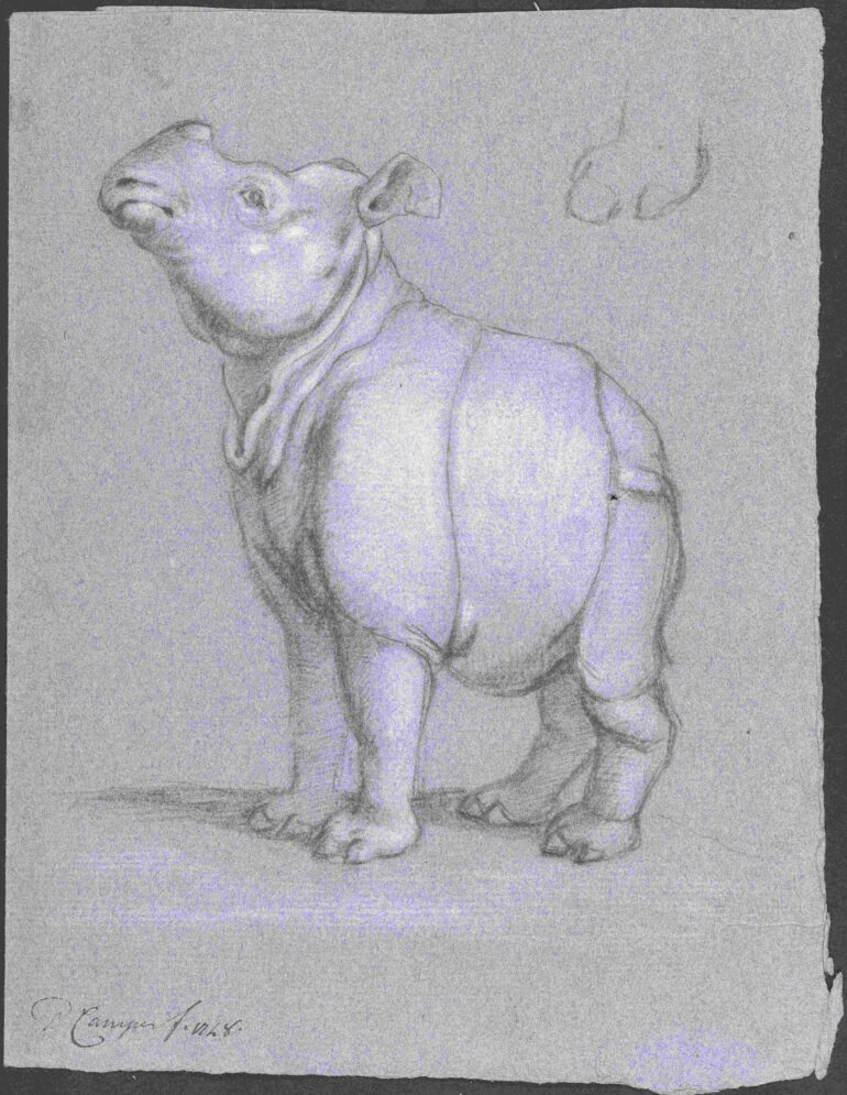 Petrus Camper map A X 001 small