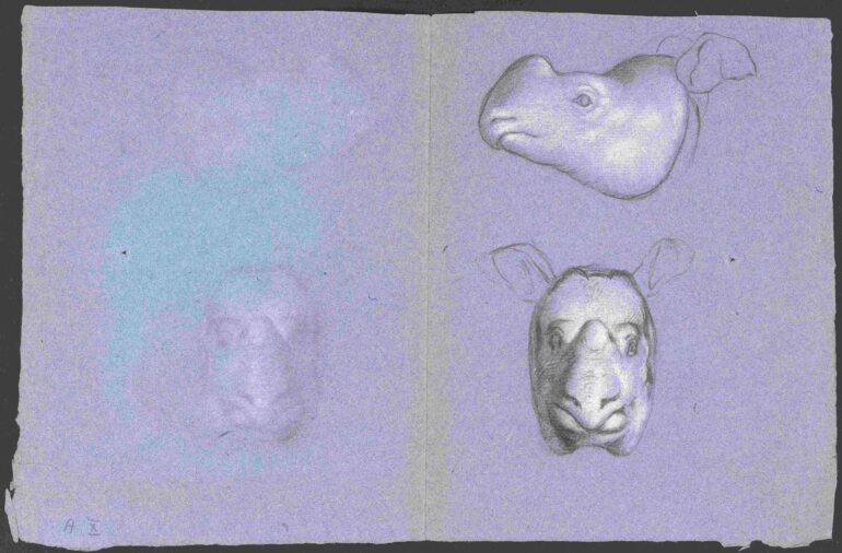 Petrus Camper map A X 002 small