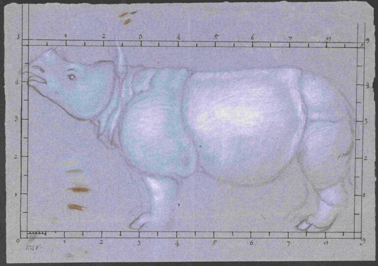 Petrus Camper map A X 003 small