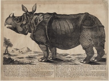 1746 Braunschweig poster 2506