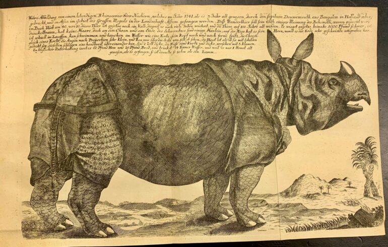 1746 Clara poster bound with Bergen Oratio in Linnean Soc AA