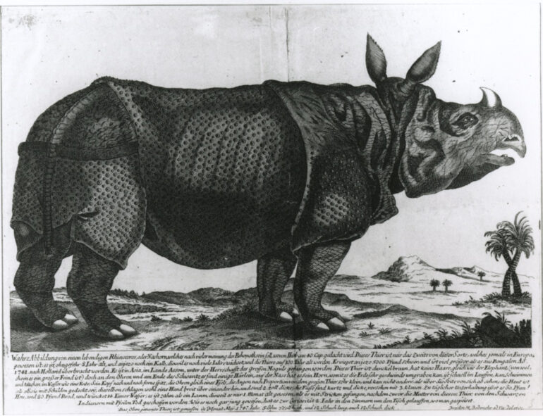 1747 Dresden 3307 Bodenehr