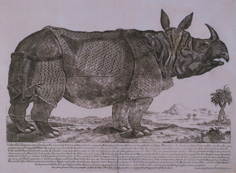 1747 Dresden 3309 Bodenehr