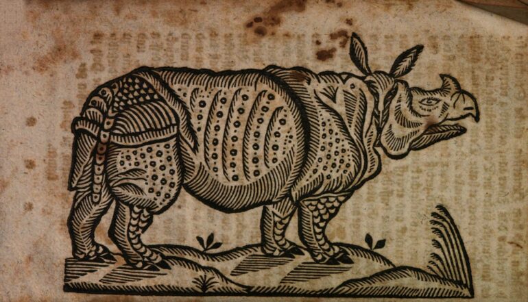 1747 auslandischen Thiers, welches zu Freyberg plate