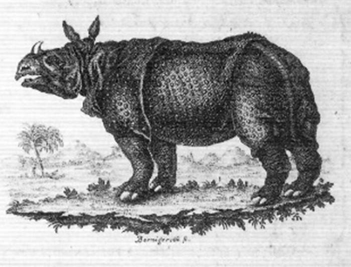 1747 Leipzig Freytag title detail