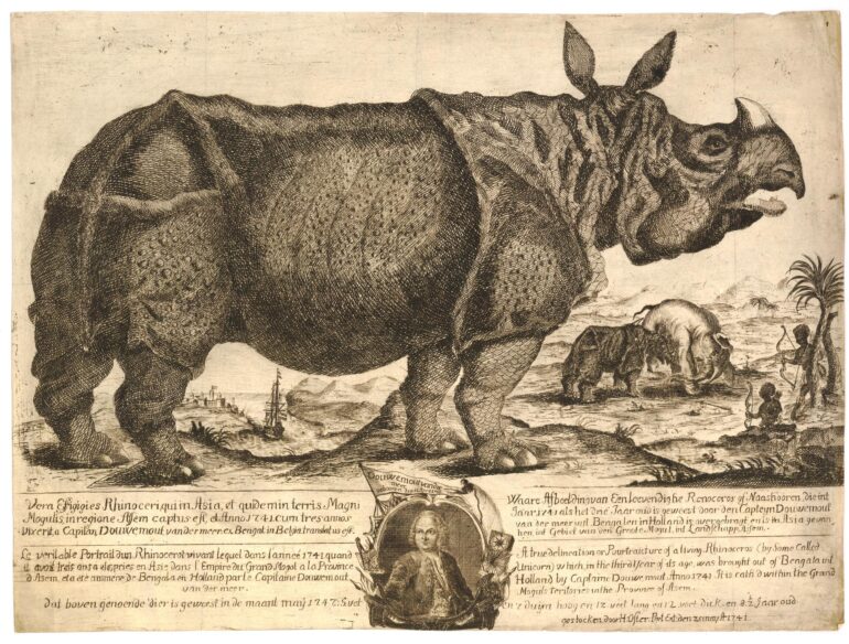 1741 Clara Poster British Museum 1914,0520.664