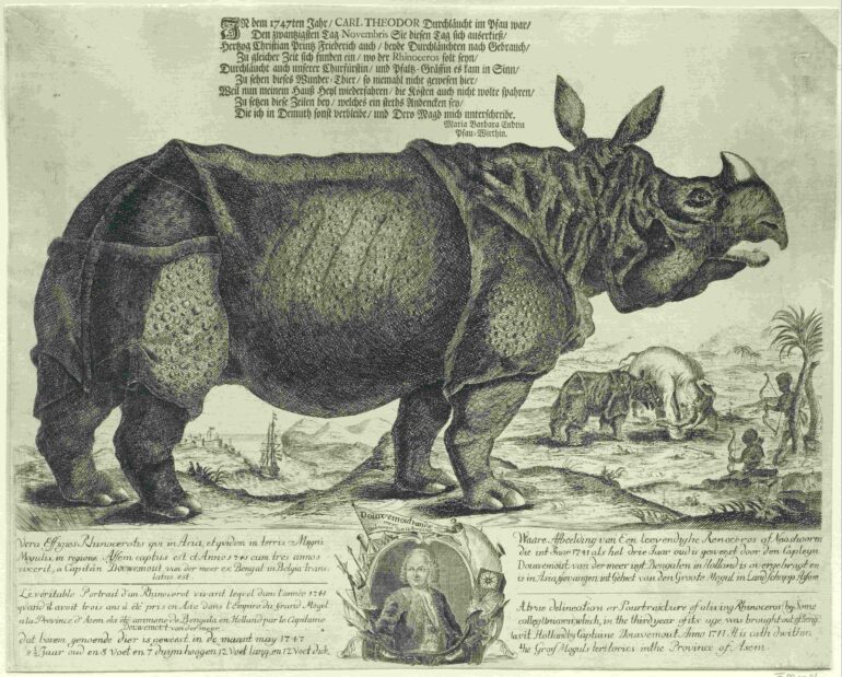 1747 Clara Rijksmuseum 3786 Endtin AAsmall