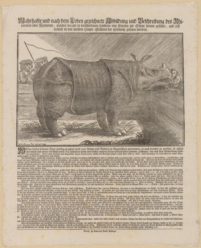 1748 Redinger Zurich 002 smaller