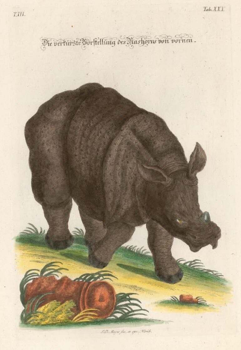 1756 Meijer Neurenberg pl XXX