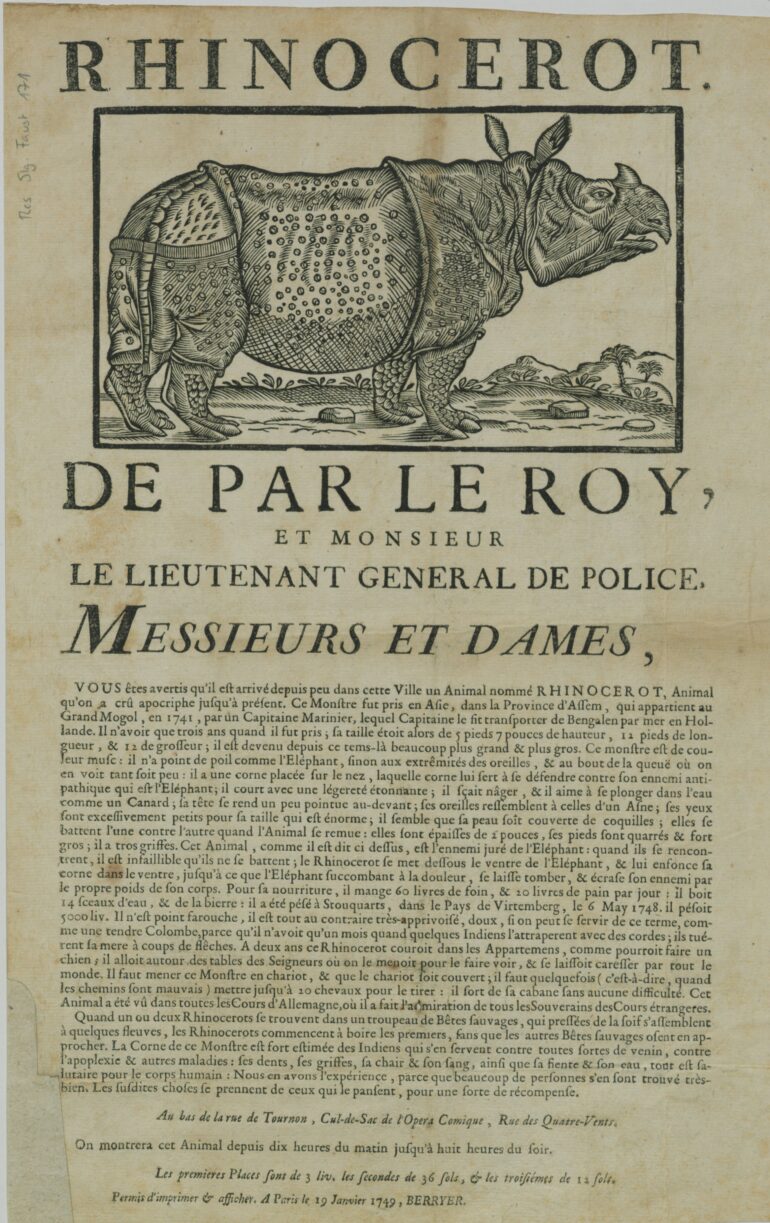 1749 Rhinocerot Paris coll Faust 718 8