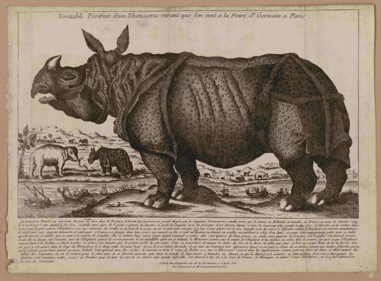 1749 Veritable Portrait 02 Musée Carnavalet Histoire de Paris AAsmall