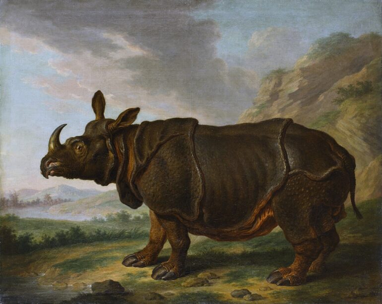 The Leiden Rhinoceros *oil on canvas *112 x 140 cm