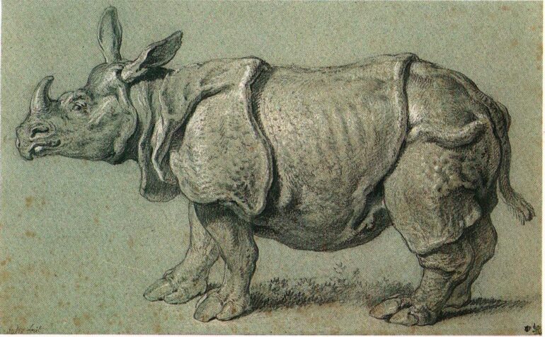 1750 Oudry Br Mus 1918 6 15 7 Clarke