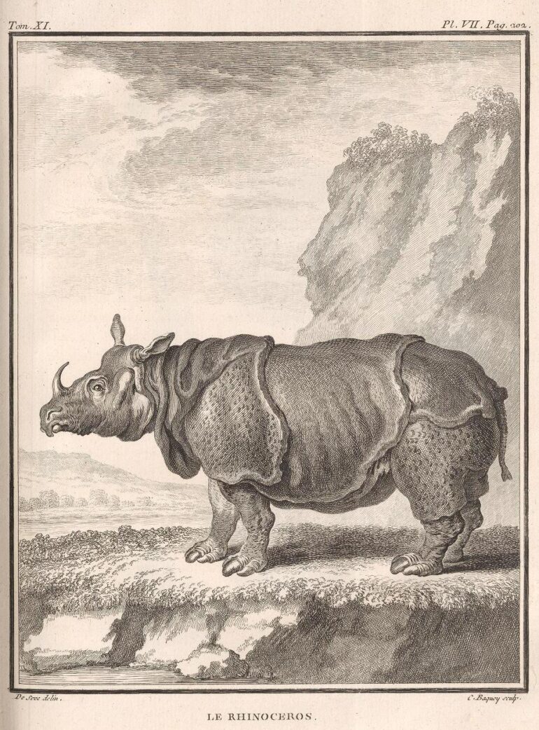 1764 Buffon Hist Nat 083 plate