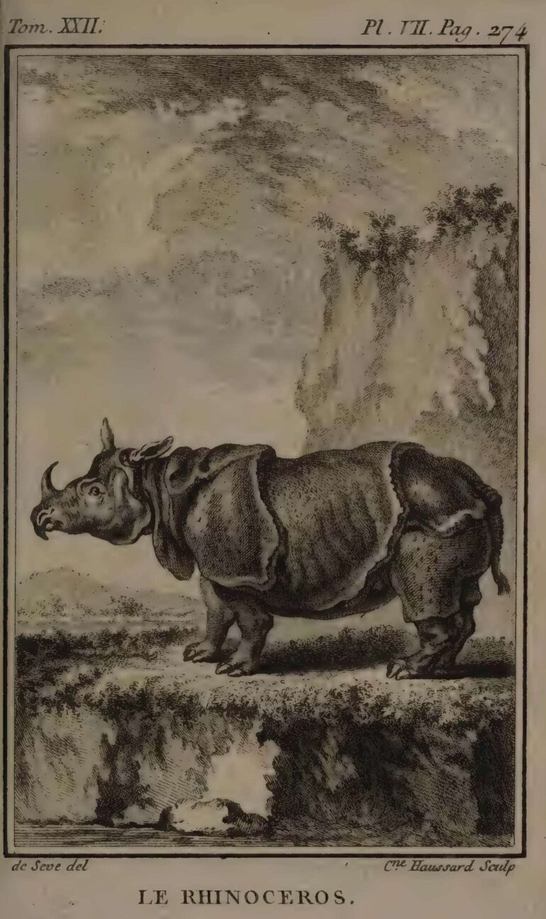 1766 Buffon Hist Nat 22 vol 12mo plate 7 aa