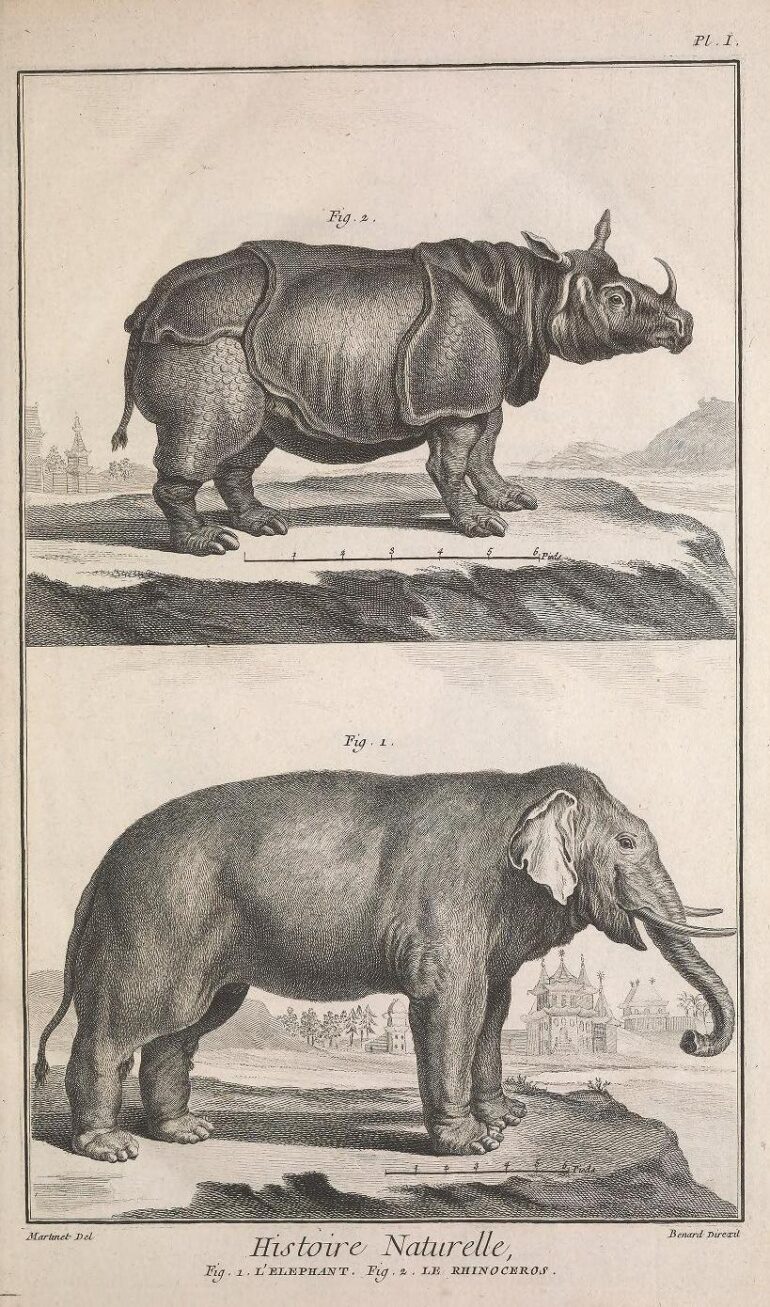 1768 Encyclopedie Receuil des planches, sur les sciences