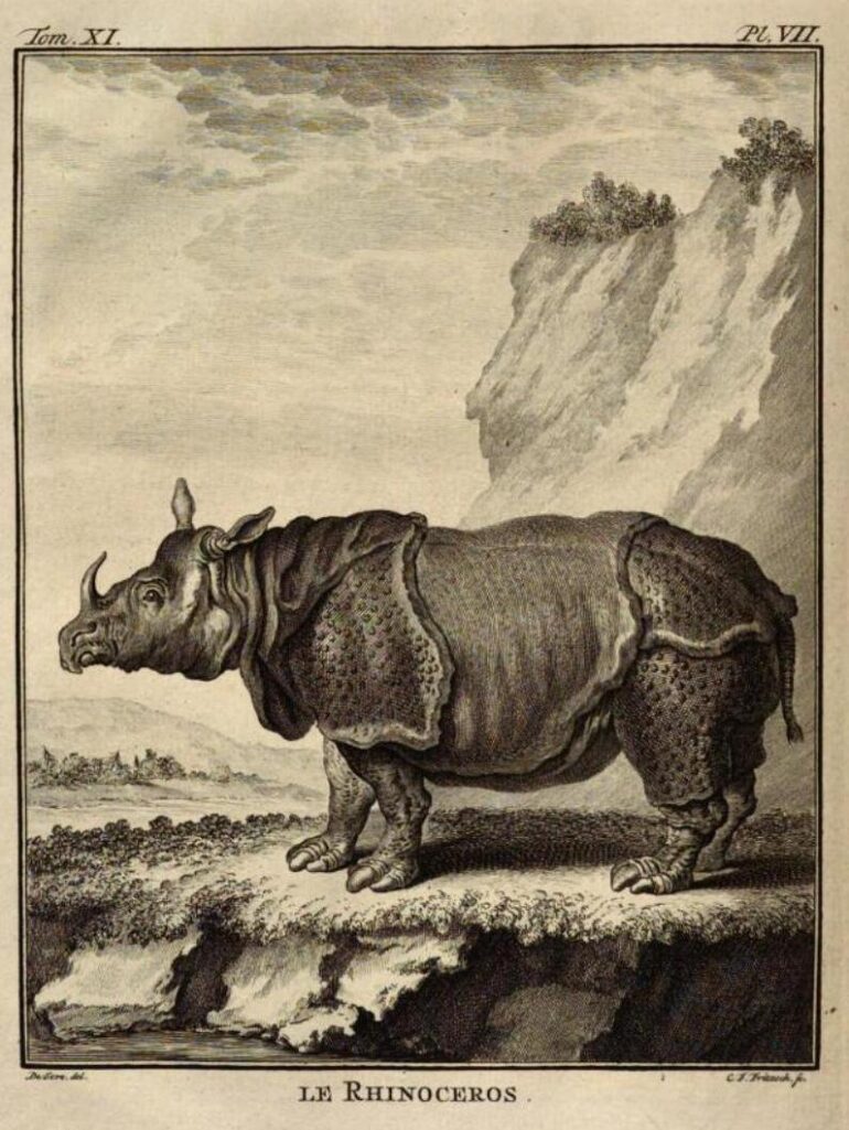 1769 Buffon Histoire naturelle 11 Schneider 078 plate VII aa