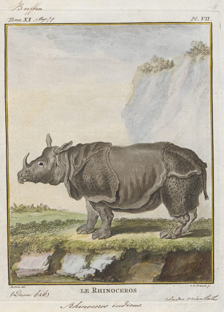 1769 Iconographia Zoologica Buffon Schneider aa