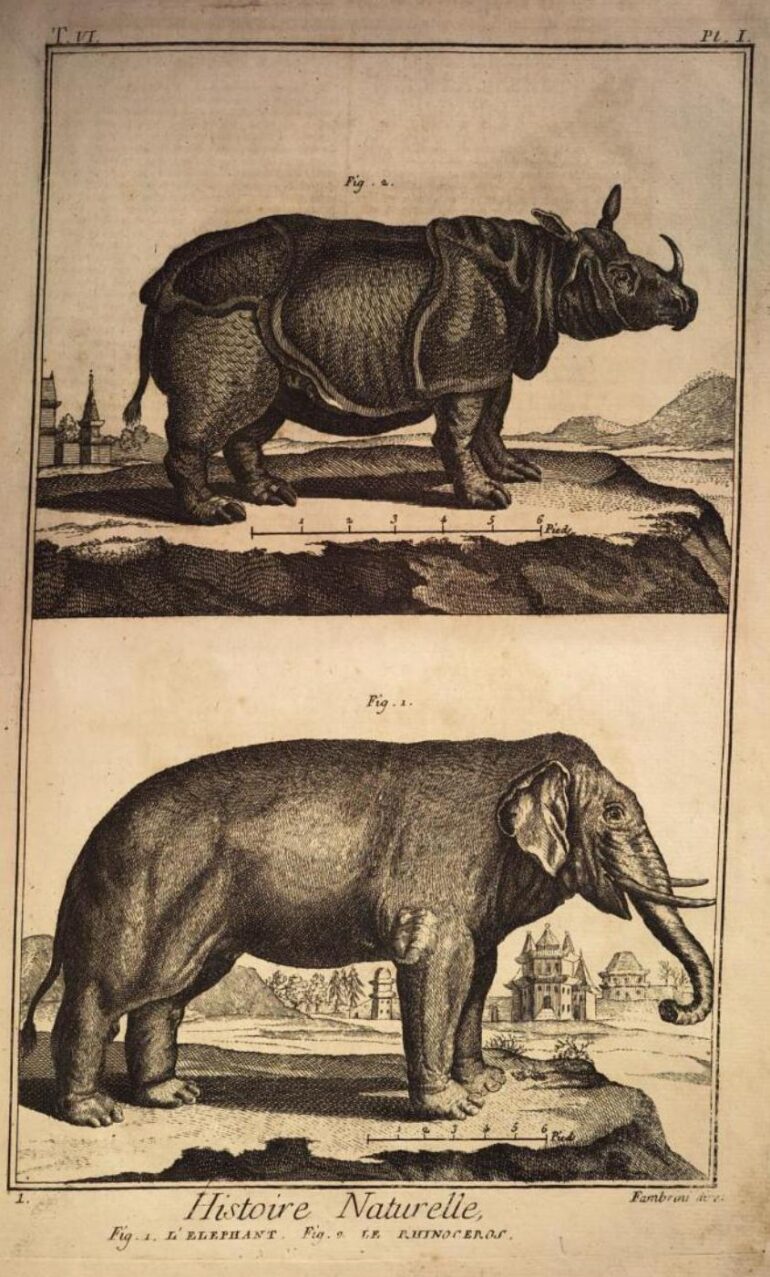 1770 Encyclopedie Planches Lucques 003 plate aa