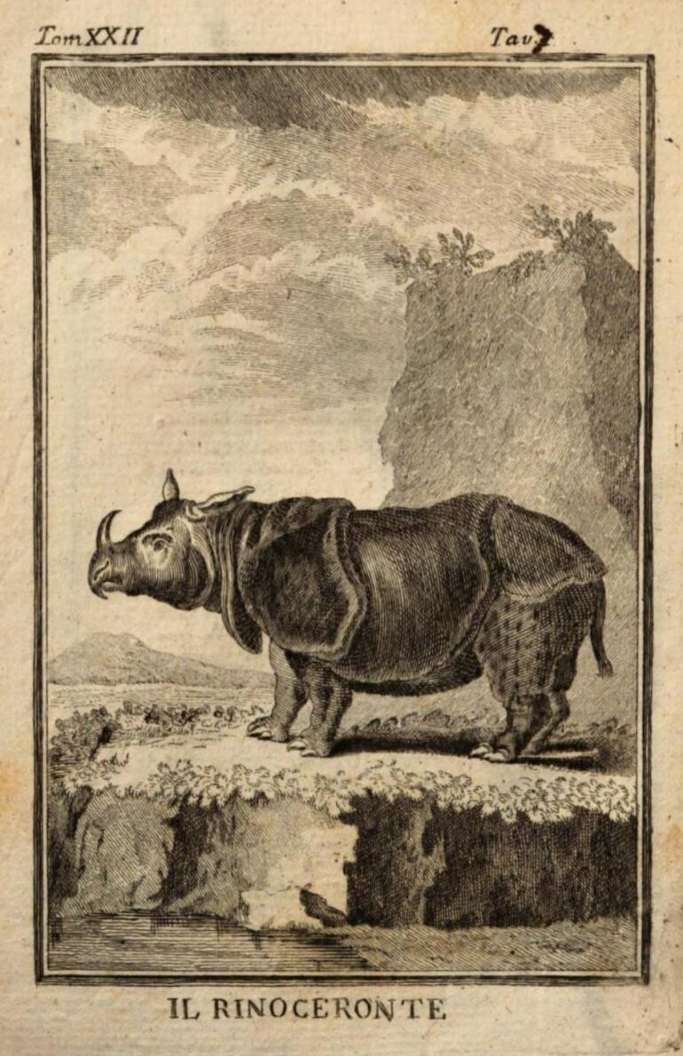 1772 Buffon Italian XXII pl 7