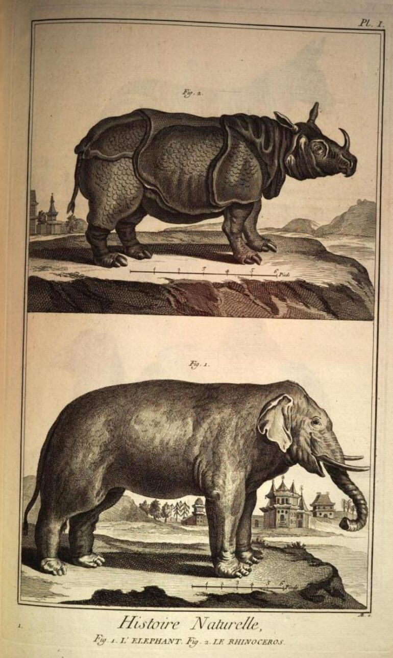 1774 Encyclopedie Planches Livourne 003 plate aa