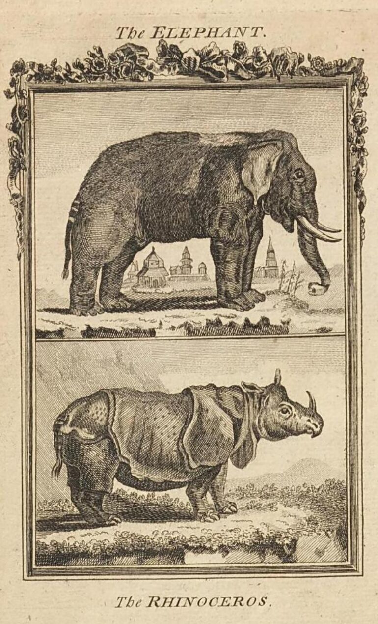 1775 Buffon Kenrick Nat Hist III plate