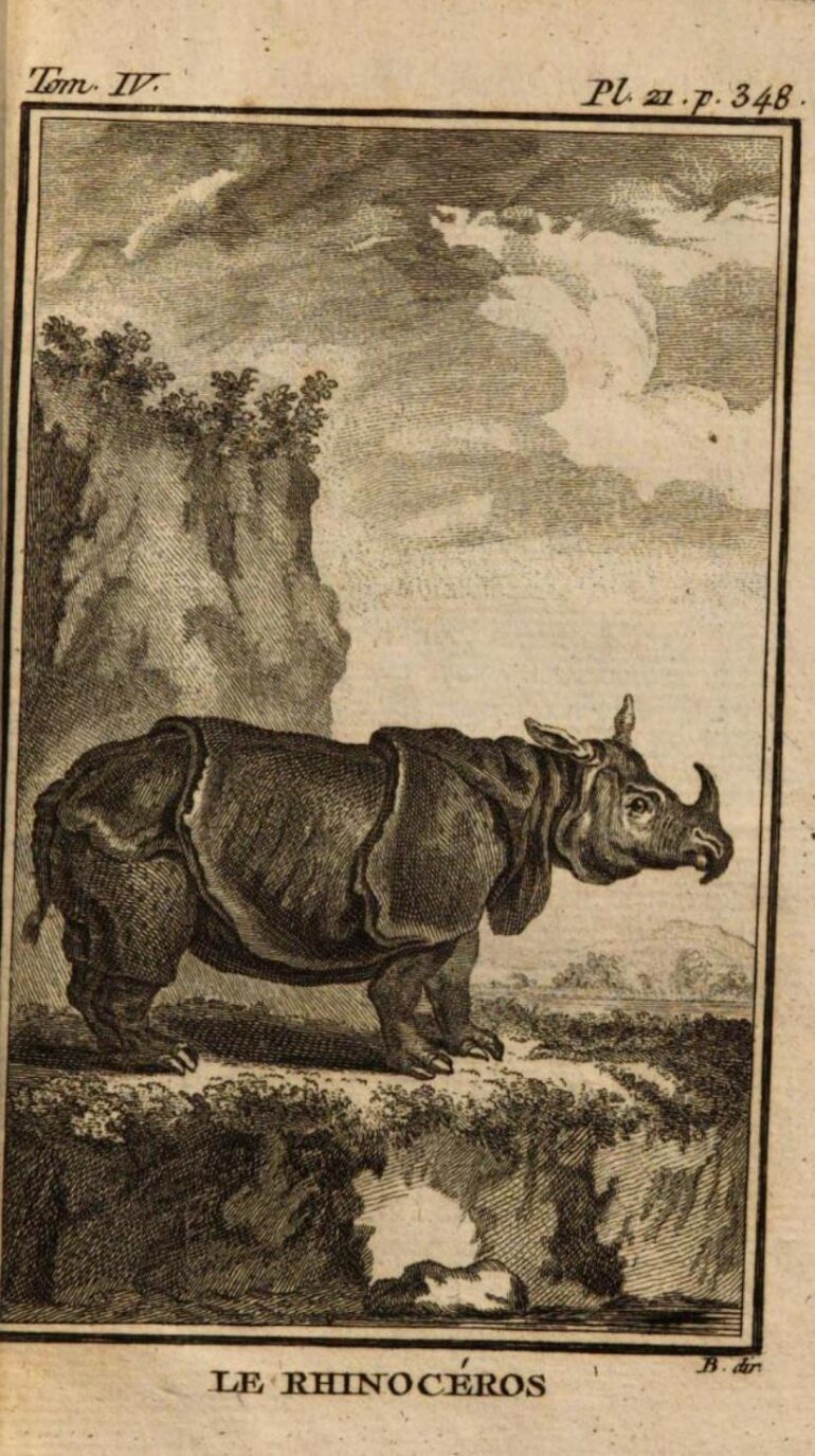 1775 Buffon Oeuvres Quadrupedes IV 348 plate 21 aa