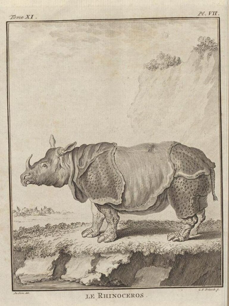 1779 Buffon Dutch Schneider vol XI 116 delpher