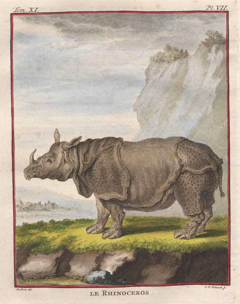 1779 Buffon Natuurlijke Historie vol 11 116 plate aa