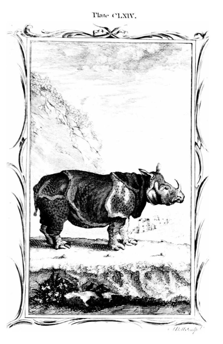 1780 Buffon Smellie vol6 plate