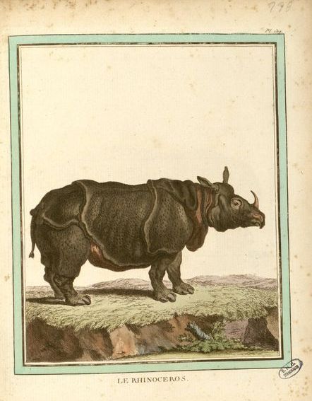 1782 Buffon planches Strasbourg