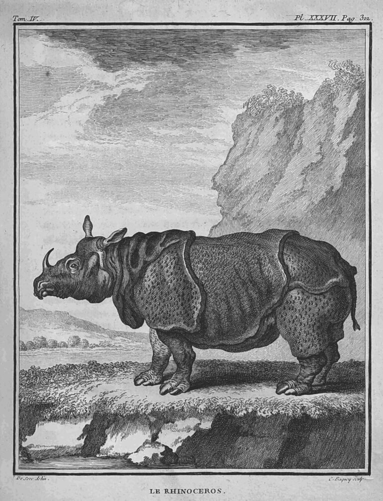 1785 Buffon Histoire naturelle quadrupedes vol4 pl37 sm aa