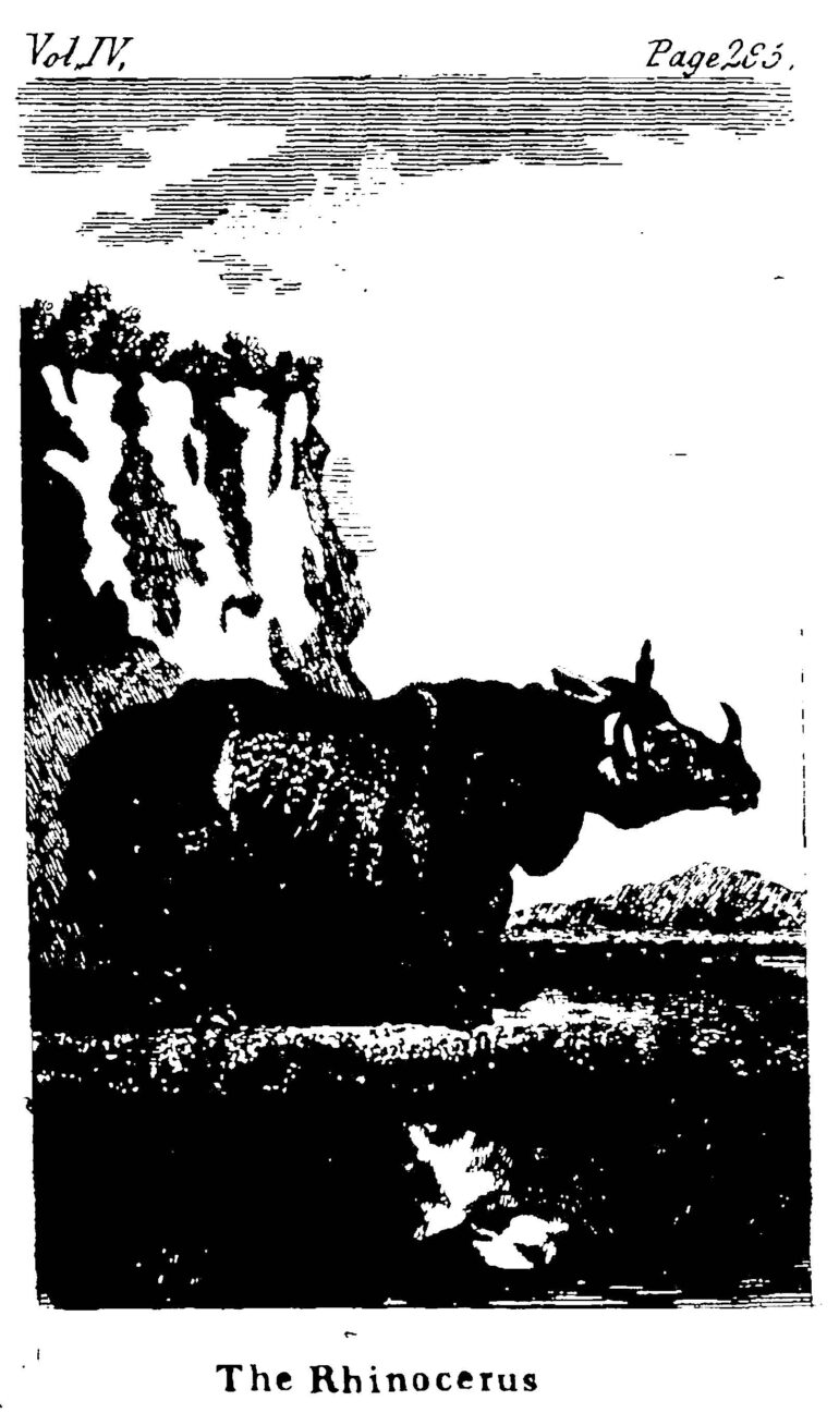 1785 Goldsmith plate