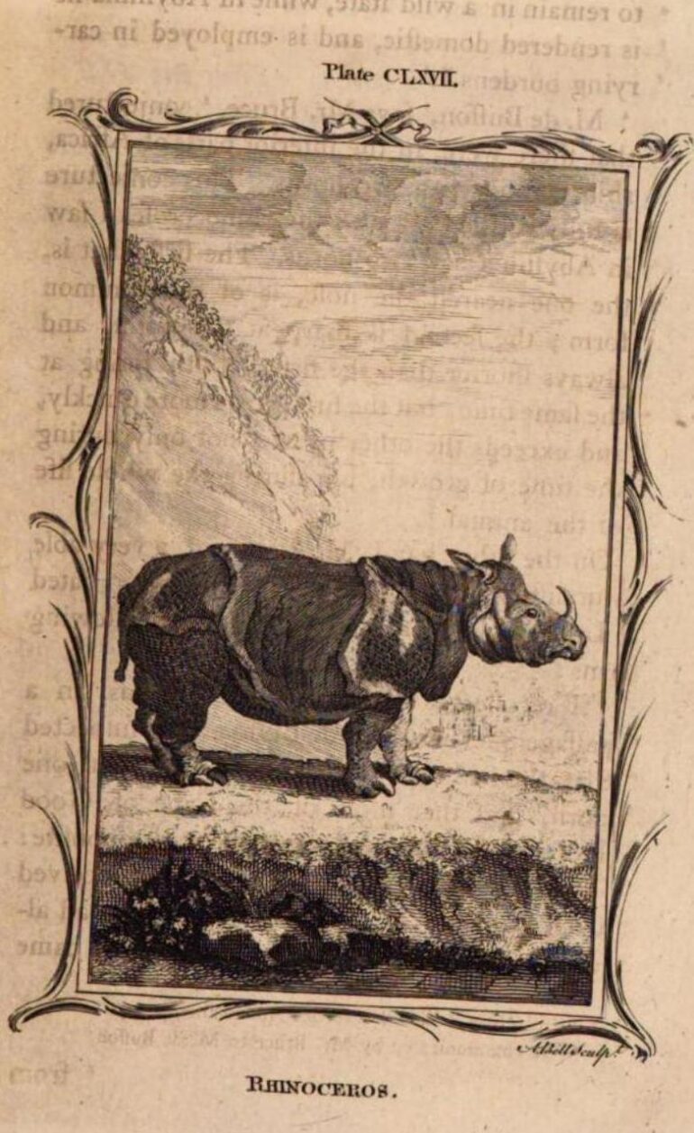 1791 Buffon Smellie Nat Hist 118 plate CLXVII