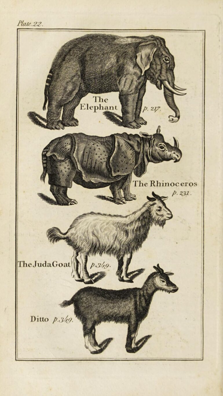 1792 Buffon abridged plate