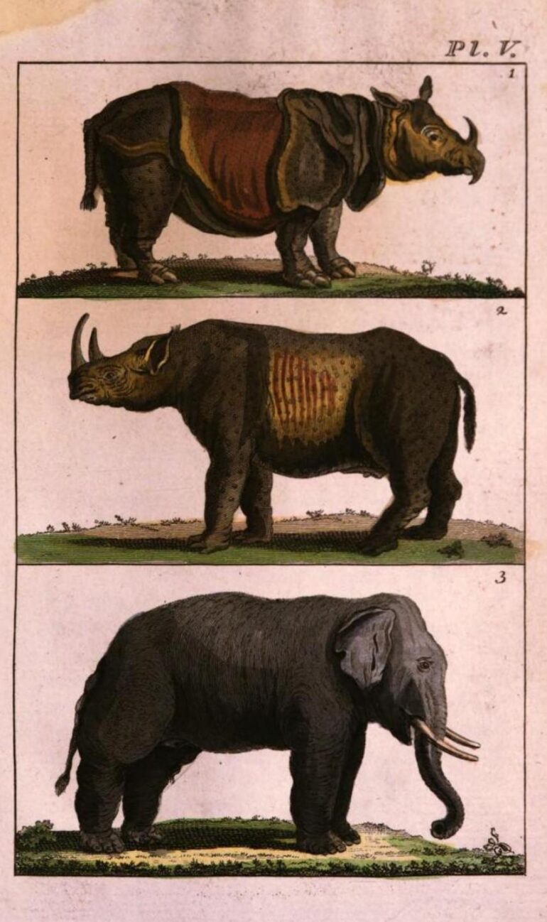 1793 Pasteur Nat Hist 134 plate