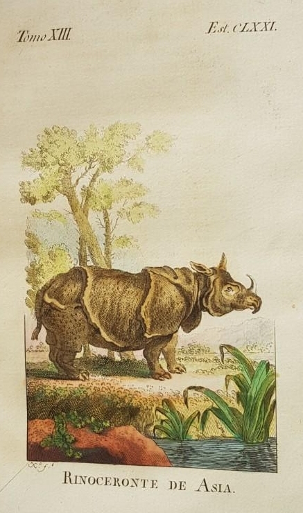 1794 Buffon Historia XIII pl 171 indian