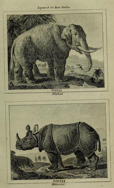 1797 Barr Buffon figs 133 134 after p 236