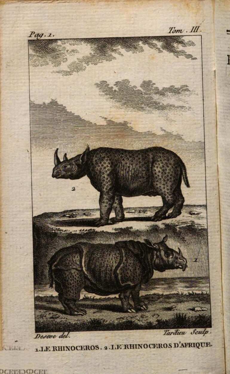 1798 Buffon Castel 002 plate