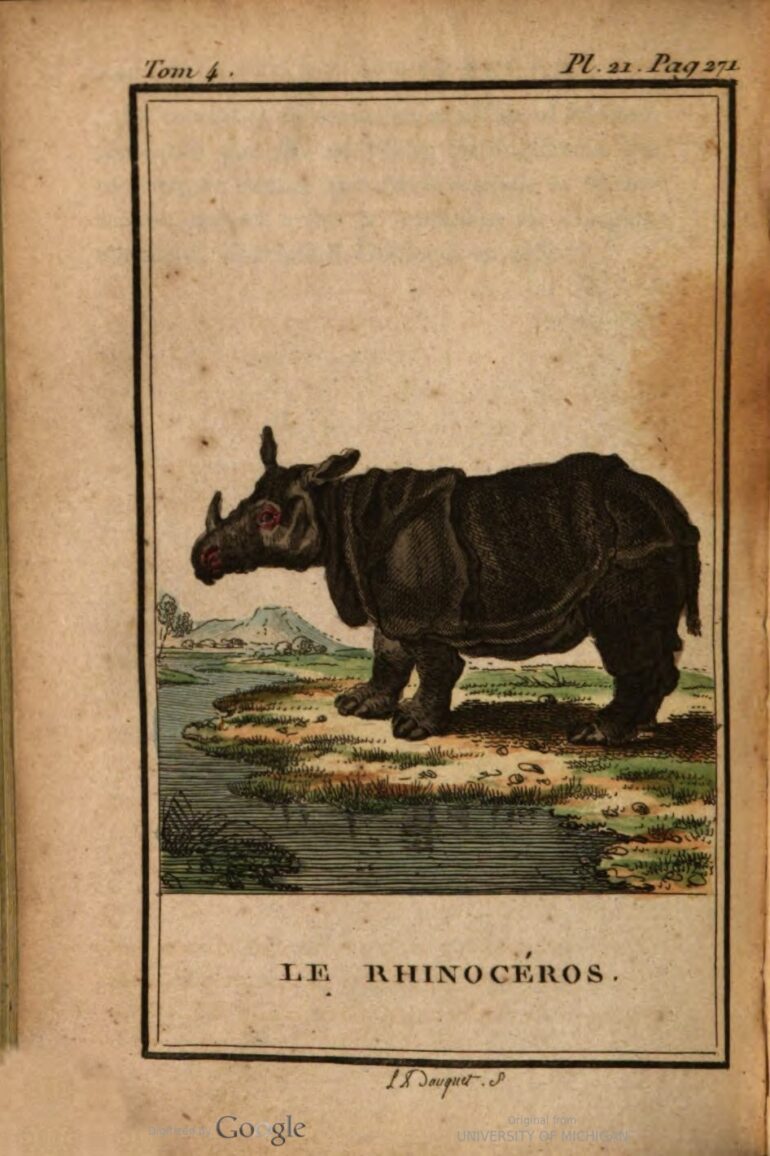 1799 Buffon Stereotype vol4 271 plate