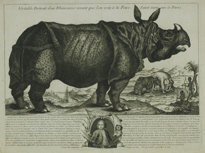 1749 Dijon Veritable Portrait