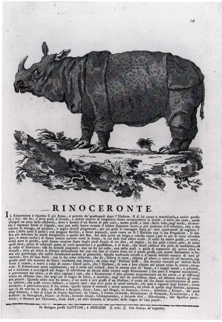 1783 Cattani Nerozzi Rinoceronte from Faust p160